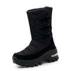 Black / 35