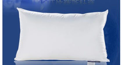 Washable Velvet Pillow Insert