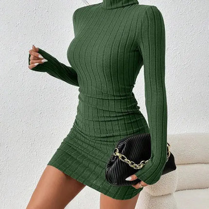 Turtleneck Slim Fit Knitted Elegant Dress