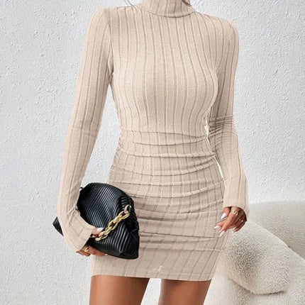 Turtleneck Slim Fit Knitted Elegant Dress