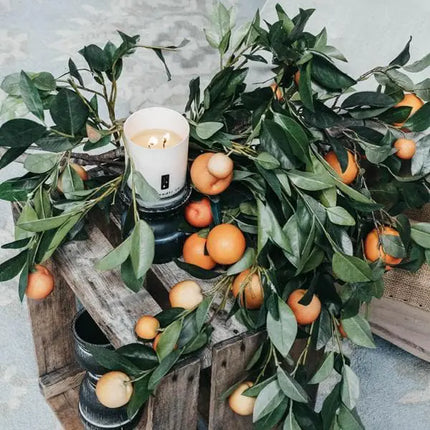 Citrus Tree - Orange Citrus Candle